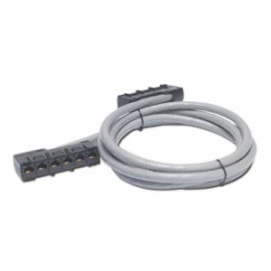 Data Distribution Cable - Cat 5e - UTP - CMR - 6xRJ-45 - 22m - Grey