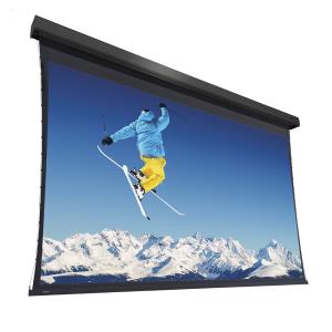 Projecta Extensa Ws 219x390 Hd Progressive 0.9